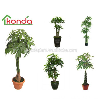 Artificial plants and trees,Artificial Dracaena Fragrans,artificial ornamental plants for indoors,home decor artificial plants